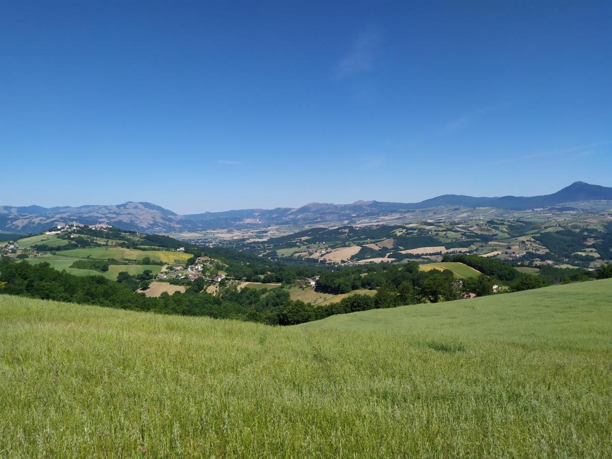 All Inbasilicata Bed & Breakfast Baragiano Екстериор снимка